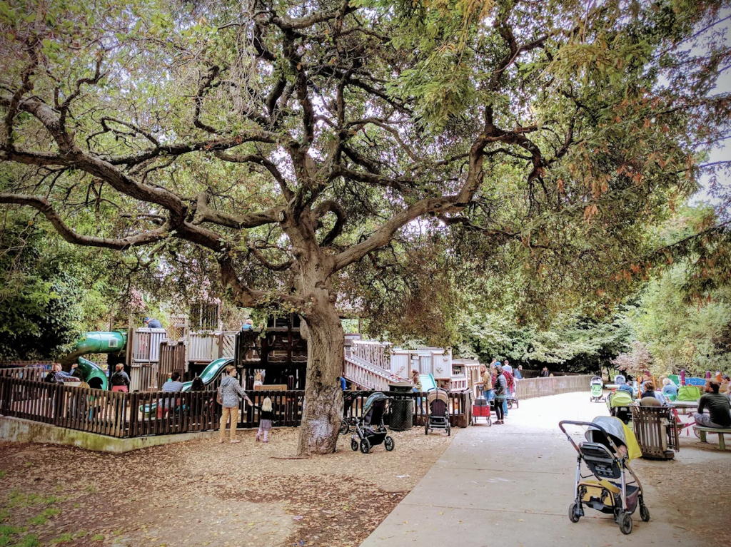 Kids and caregivers at Frog Park explore wooden play structures nestled under large oak trees in a shaded greenbelt.